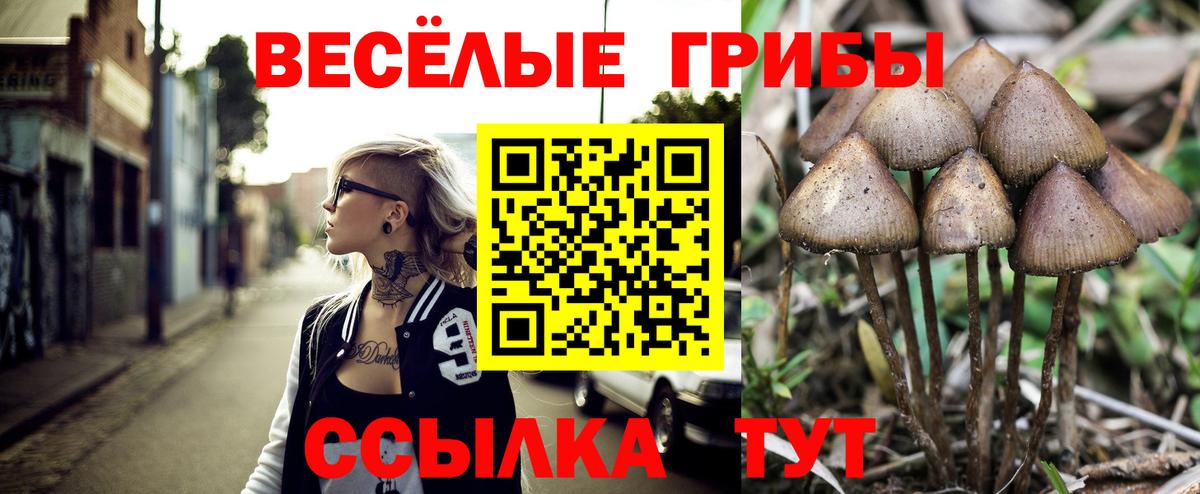 Псилоцибиновые грибы Psilocybine cubensis Пыть-Ях