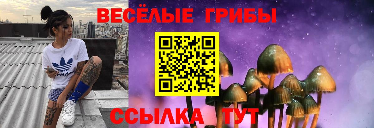 Пыть-Ях  Галлюциногенные грибы MAGIC MUSHROOMS  Вход с VPN 